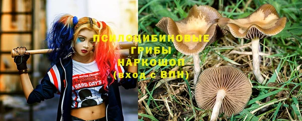 дживик Алзамай