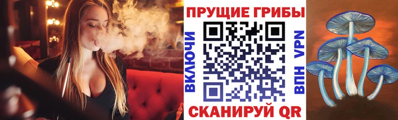 Псилоцибиновые грибы GOLDEN TEACHER  Юрьевец 